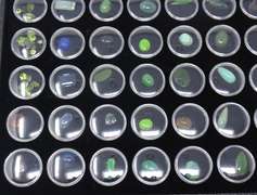 Tray of Natural Colorful Gemstones