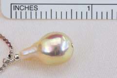 Classic Pearl Drop on Sterling Chain