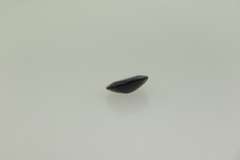 8.0 CT Sapphire Loose Gemstone