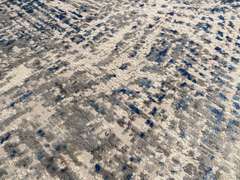 Decorative Modern Area Rug 8 x 11