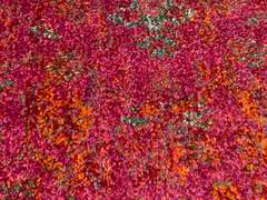 Decorative Runner 10'