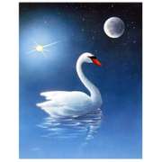 The Swan by Shotwell Original