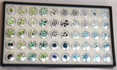 Natural Colred Stone Tray
