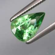 Brilliant green 1.03ct untreated Tsavorite Garnet