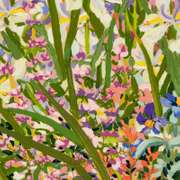 Field of Lupin by Powell, John