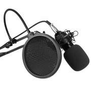 Condenser Microphone Kit with Filter