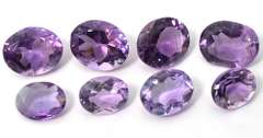 Amazing Collection of 8 Loose Amethysts, 19.95CTW