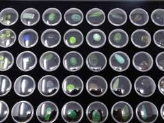 Tray of Natural Colorful Gemstones