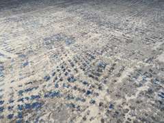 Decorative Modern Area Rug 8 x 11