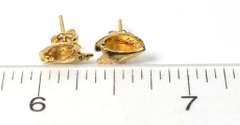 Precious 14KT Yellow Gold Conch Earrings