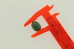 5.5 CT Green Beryl Emerald Loose Gemstone