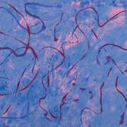 Beware by Pergola Original