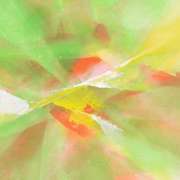 Kaleidoscope by Leung Original