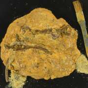 Future Fossil: Tools by Pergola, Tom