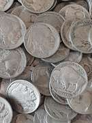 100 Full Date Buffalo Nickels