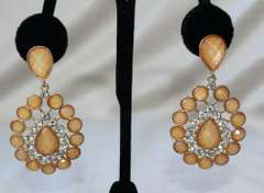 An Attractive Pair of Fashion Design Earrings