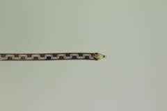 Sterling Silver Italian Brcelert