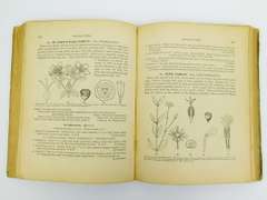 1859 How Plants Grow Antique Botany Book