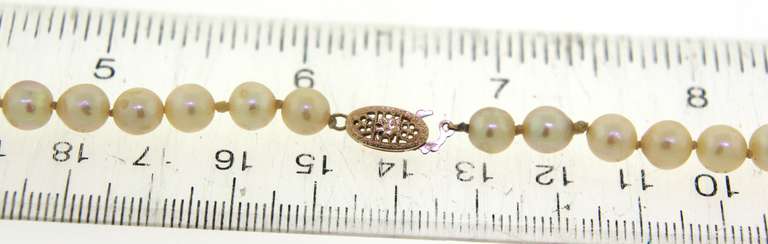 Fresh Water Pearl Necklace w Gold Clasp
