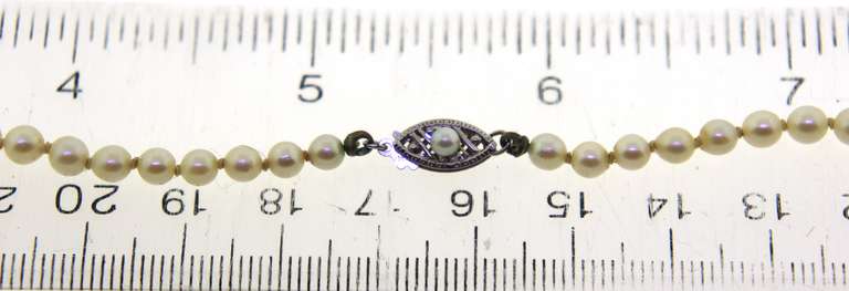 Graduated Pearl Necklace