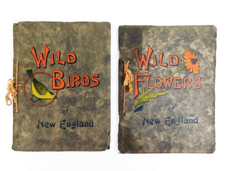 1912 New England Wild Flowers & Birds Books