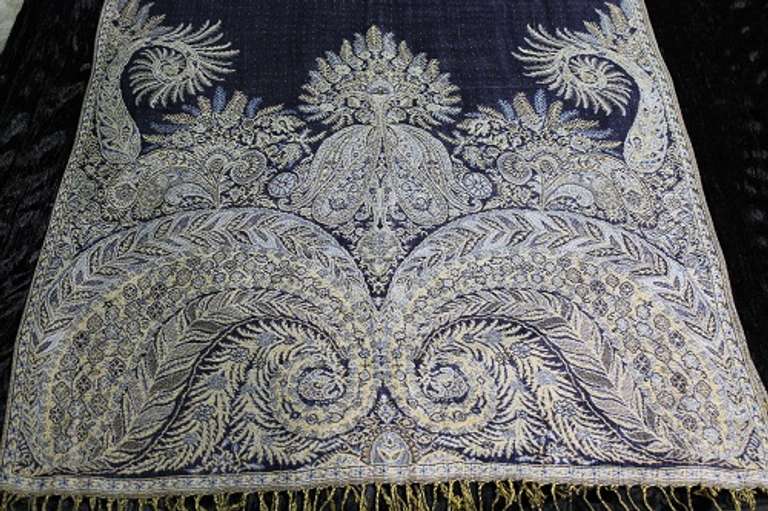 A Very Unique Design Lady's Scarf