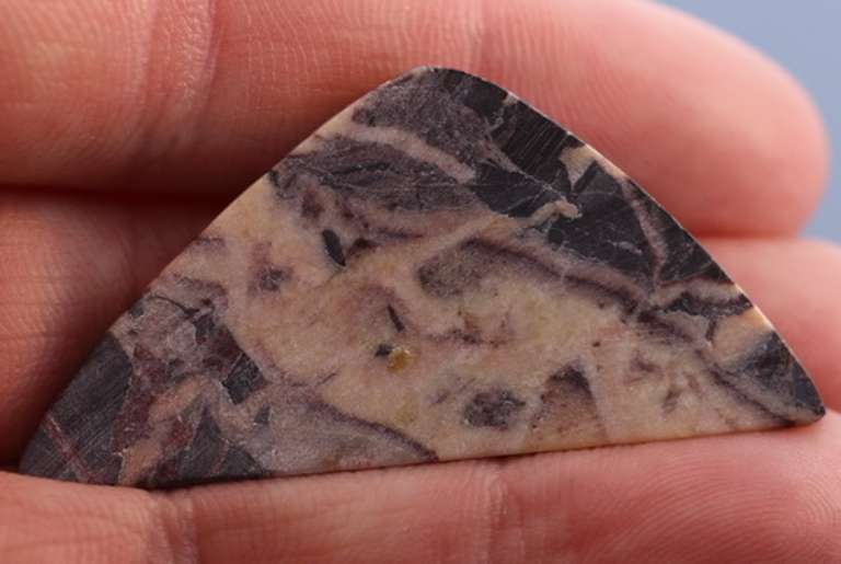 Collectors 43.38ct Petrified Wood Jasper