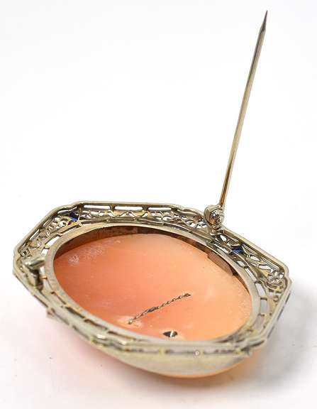 Gorgeous Adorned Cameo Brooch in 14KT White Gold