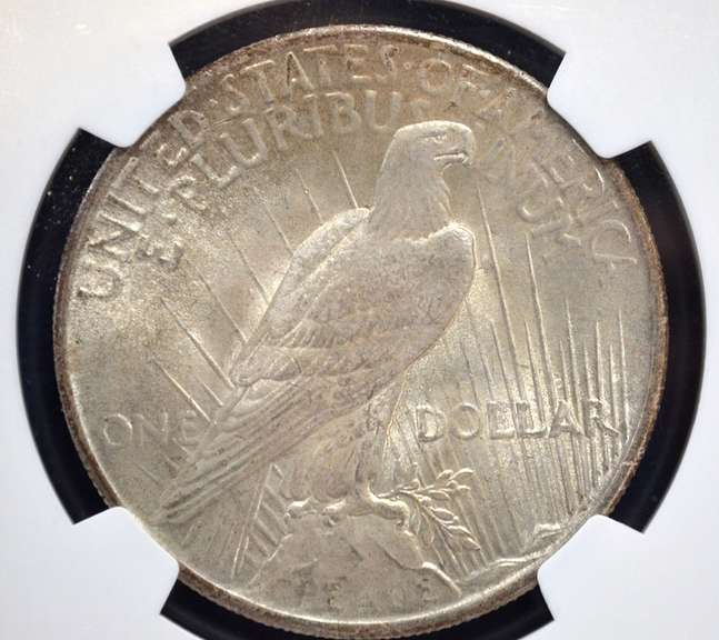 1925 NGC MS 64 Peace Dollar