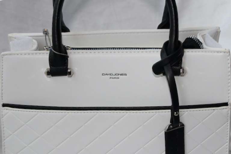 Designer Style Hand Bag by David Jones-Paris