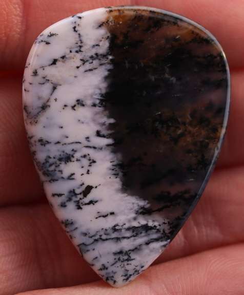 Exotic 49.12ct Turkish Dendrite Opal