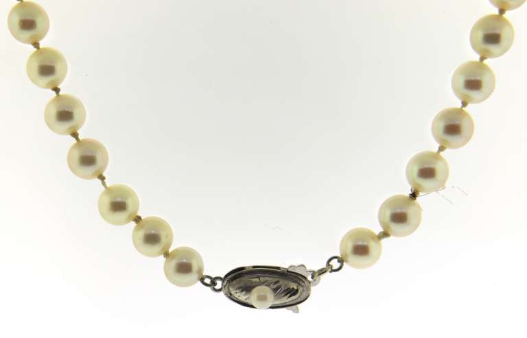 White Fresh water Pearl Necklace