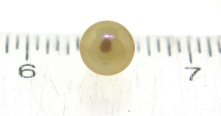 Cute Golden Pearl Button Earrings