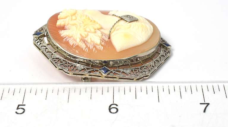 Gorgeous Adorned Cameo Brooch in 14KT White Gold