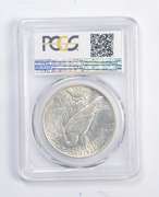MS63 1934-D Peace Silver Dollar - Graded PCGS
