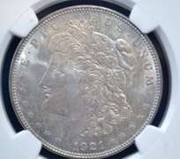 1921 D NGC MS 64 Morgan Dollar