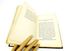 1896 If Not Silver - What? Antique Book