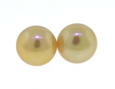 Cute Golden Pearl Button Earrings
