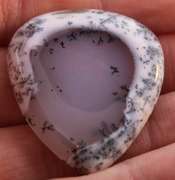 Exotic 47.13ct Turkish Dendrite Opal