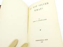 1896 If Not Silver - What? Antique Book