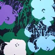 Flowers 11.64 by Warhol, Andy