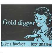 Gold Digger by Goldman, Todd