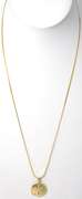 Detailed Sand Dollar Necklace in 14KT Yellow Gold