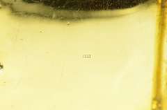 14K Yellow Gold Ornate Carved Chinese Jade Belt Bucklet