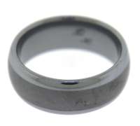 The Model Tungsten Band