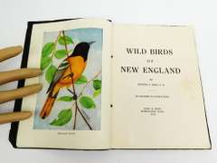 1912 New England Wild Flowers & Birds Books