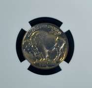 1913 S Type 1 5C NGC  UNC Details