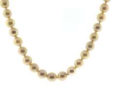 Fresh Water Pearl Necklace w Gold Clasp