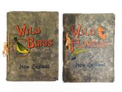 1912 New England Wild Flowers & Birds Books