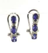 Fantastic Tanzanite & Diamond Accent Earrings
